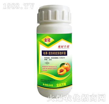 �Ҙ�(sh��)���ÿݲݡ��z�����ѿ�ߗU��-���-���S�f(w��n)¡