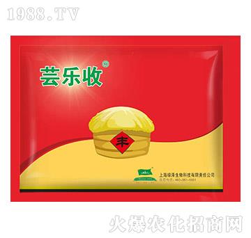 �|����-�G�I(y��)Ԫ�r�I(y��)