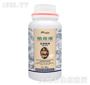 500gֲ����-���_(t��i)��