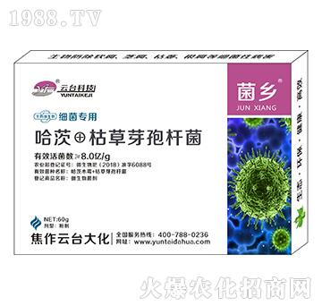 ��(x��)�����þ��l(xi��ng)-���_(t��i)��