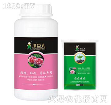 õ����ĵ�����ջ������{(di��o)��(ji��)��-С����