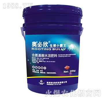 ����С����-�W����-�W�R˹