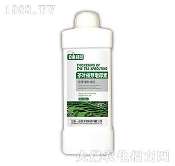 ���~��ѿ������-Ҽ������