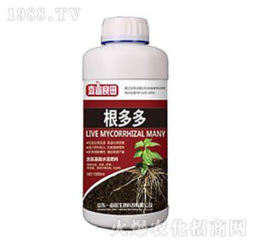 �����-Ҽ������