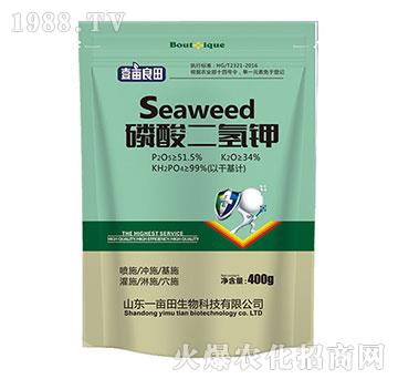 �������⛣�400g��-Ҽ������