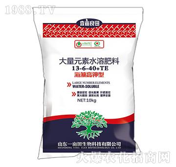 �������ʹ���Ԫ��ˮ�ܷ�13-6-40+TE-Ҽ������