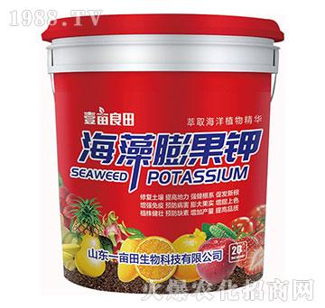 ��������-Ҽ������