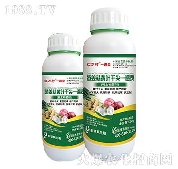 �[�����S�~�ɼ�һ���`-���˹����r(n��ng)��