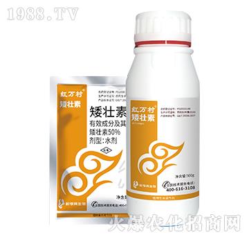 50%������-���˹����r��