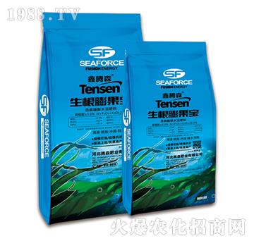 ���������-���vɭ-�vɭ�ʘI(y��)