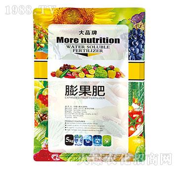 �����-ɽ������