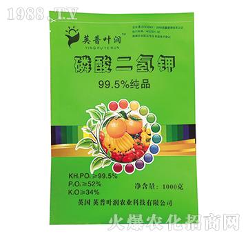 99.5%��������-Ӣ���~��