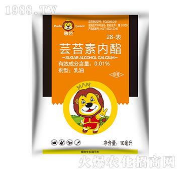 0.01%28-���|̦�؃�(n��i)֬-����-��������