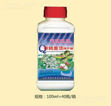 �����w�ק����-�fȪ�r��