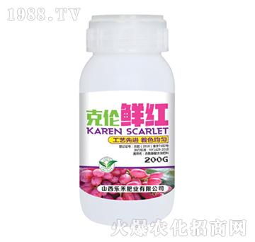 �˂��r�t-��(l��)��