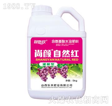 �����Ȼ�t-����