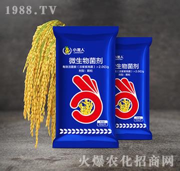 水稻防蟲藥肥-微生物菌劑-小龍人