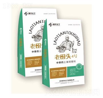 �����{�턩���в�ˎ�䷽��-�����^4̖