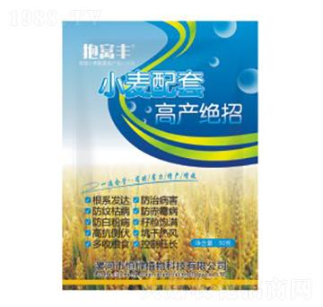 С�����׸߮a�^��-���C�S-��Gֲ��