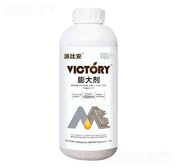 ���-�ɱȰ�-�S������