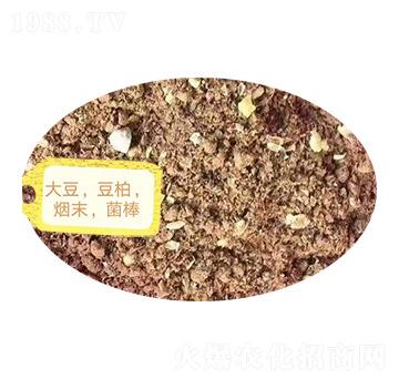 ������������ĩ��������-�Z�M�}