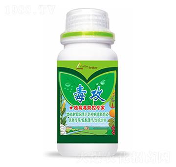 ����-�����Ƽ�