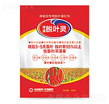 Ó�~�`-�����Ƽ�