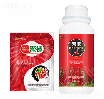 �۽�-�����Ƽ�