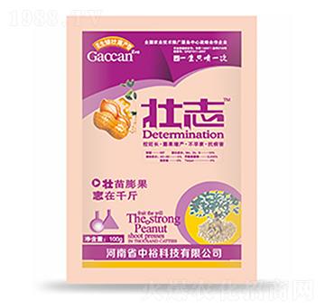 ��־-�����Ƽ�