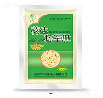 ������܊��-�����Ƽ�