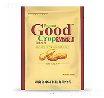 �Y(ji��)�ٹ�-�����Ƽ�