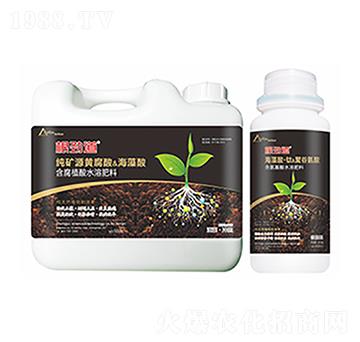 ���ŵ�-�����Ƽ�