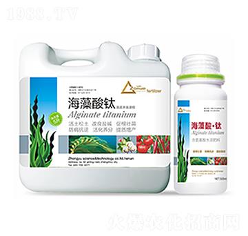 �������-�����Ƽ�