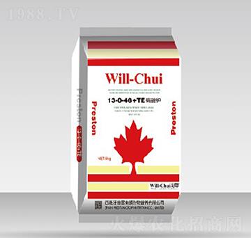 �����13-0-46+TE-����˹�D