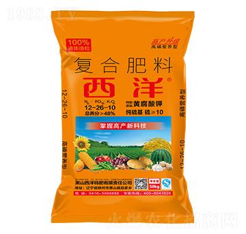 �ͺϷ���12-26-10-����ʘI(y��)