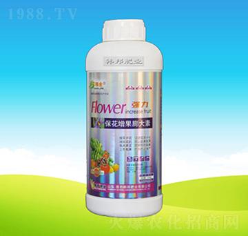 �������������-�n��ʘI(y��)