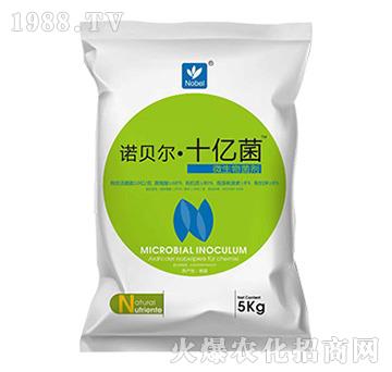 ΢�������-�Zؐ����ʮ�|��