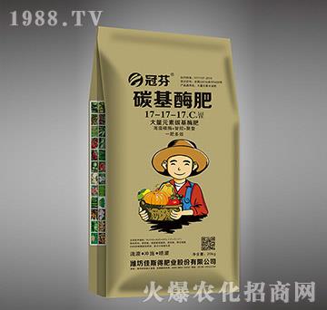 ̼��ø��17-17-17+C+TE-�ڷ�