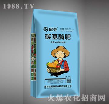 ̼��ø��-�ڷ�