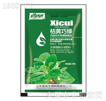 ���S�ɾG�~Ƭ��(zhu��n)���ޏ�(f��)��-��������