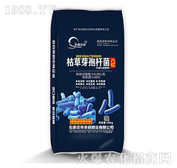 �ݲ�ѿ�ߗU��-�S�T�ʘI(y��)