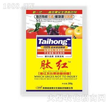 �ļt-��?t��ng)����? />
                                </div>
                            </div>
                            
                            <style type=