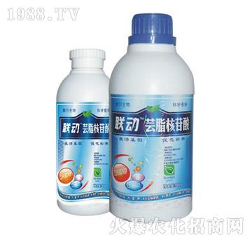 �|֬������-(li��n)��-� �����