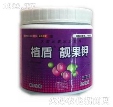 �n���-ֲ��-��?t��ng)����? />
                                </div>
                            </div>
                            
                            <style type=