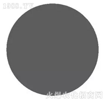 �S�����F-��΢