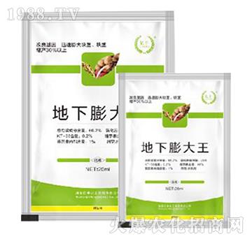 ���������-�|�S����