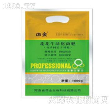 �����������-�������