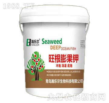 ��������-嫘���