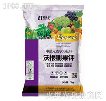 ����Ԫ��ˮ�ܷ���-�ָ�