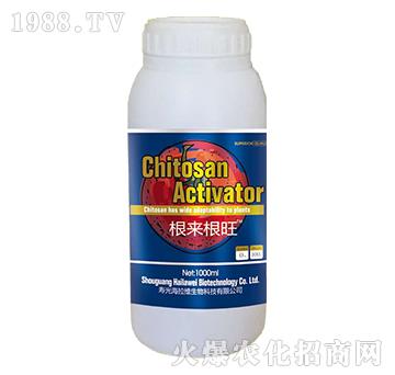 根來根旺-海拉維